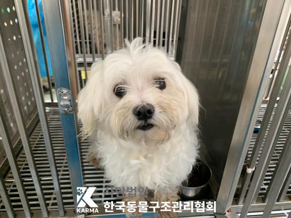 한국동물구조관리협회_411310202500177